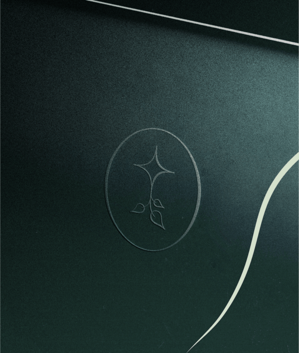 Pure Earth Brand Design by Charlie Digital